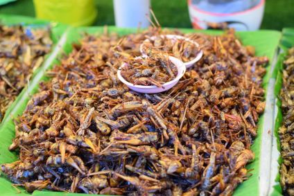 foto de grilos fritos vendidos a granel