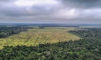 "Discriminatória": Brasil reage após classificação ambiental da Europa