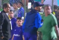 Técnico do Cruzeiro é atacado por formigas em jogo da Copa do Brasil, relata jornalista