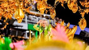 Maria Bethânia esteve no desfile da Mangueira em homenagem para Alcione