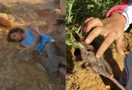 Mini-biólogo? Menino viraliza ao brincar com animais selvagens