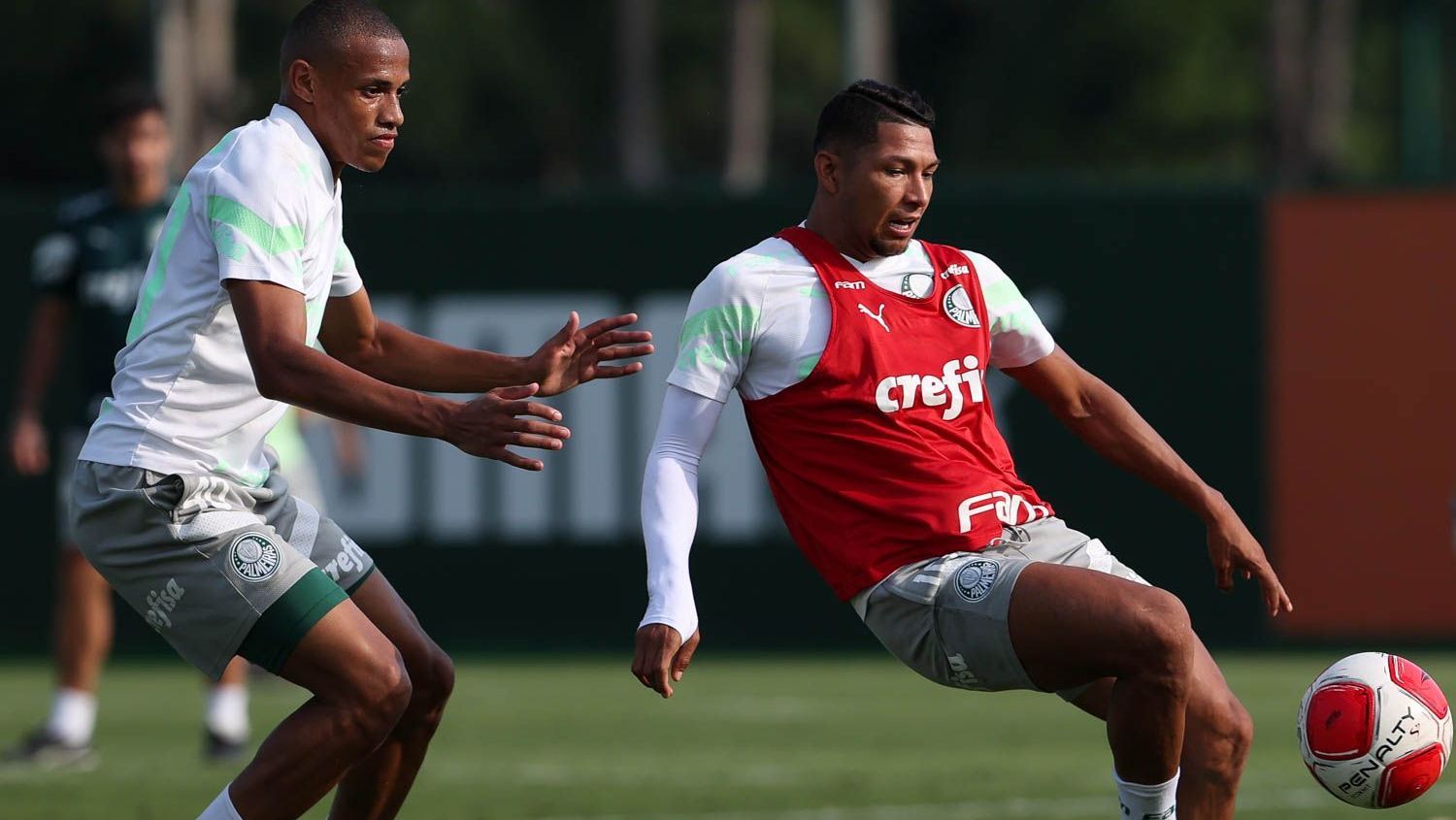 Palmeiras treina para enfrentar o Santo André pelo Paulistão