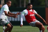Santo André x Palmeiras: horário e onde assistir ao jogo pelo Campeonato Paulista