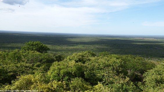 Visão panorâmica do Parna da Furna Feia / Isis Evelen