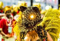 Enquete: qual foi a melhor escola de samba da 1ª noite no Rio?