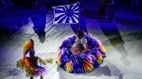 Portela é a escola com maior torcida do Carnaval carioca, diz pesquisa