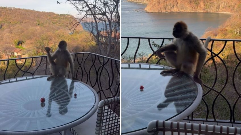 Nicolas Prattes e Sabrina Sato compartilham stories com a mesma paisagem / Reprodução/Nicolas Prattes/Sabrina Sato/Instagram