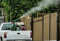 Brasil passa de 973 mil casos prováveis de dengue em 2024; Saúde anuncia dia D de combate à doença