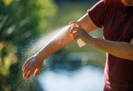 Com a alta de dengue no Brasil, saiba quais são os repelentes mais indicados