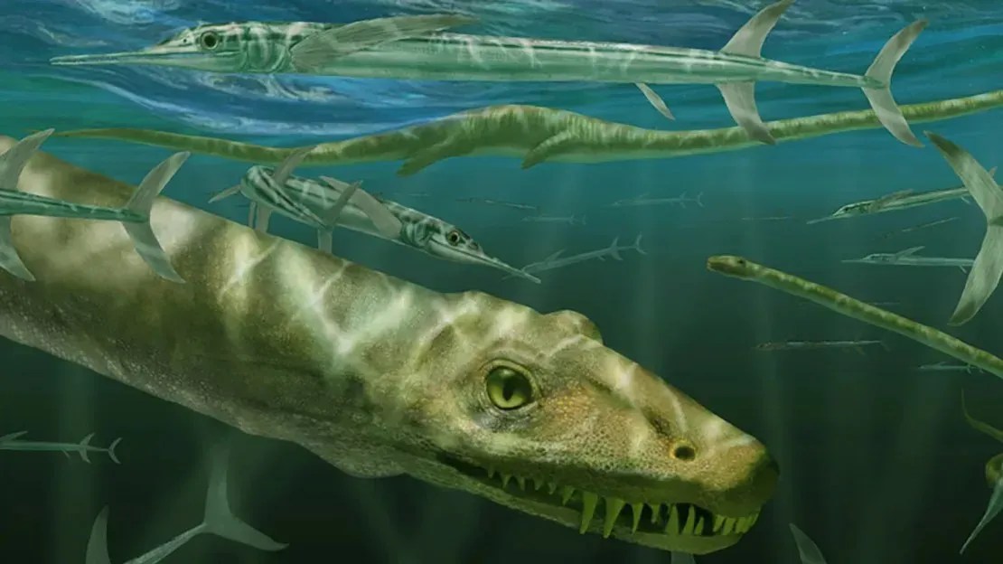 Uma representação do que o "Dinocephalosaurus orientalis", o "dragão" de 240 milhões de anos, seria / Marlene Donelly