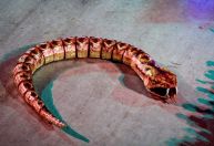Robô? Segredo da serpente da Viradouro é revelado; veja
