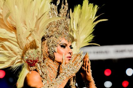 Viviane Araújo, a rainha de bateria do Salgueiro