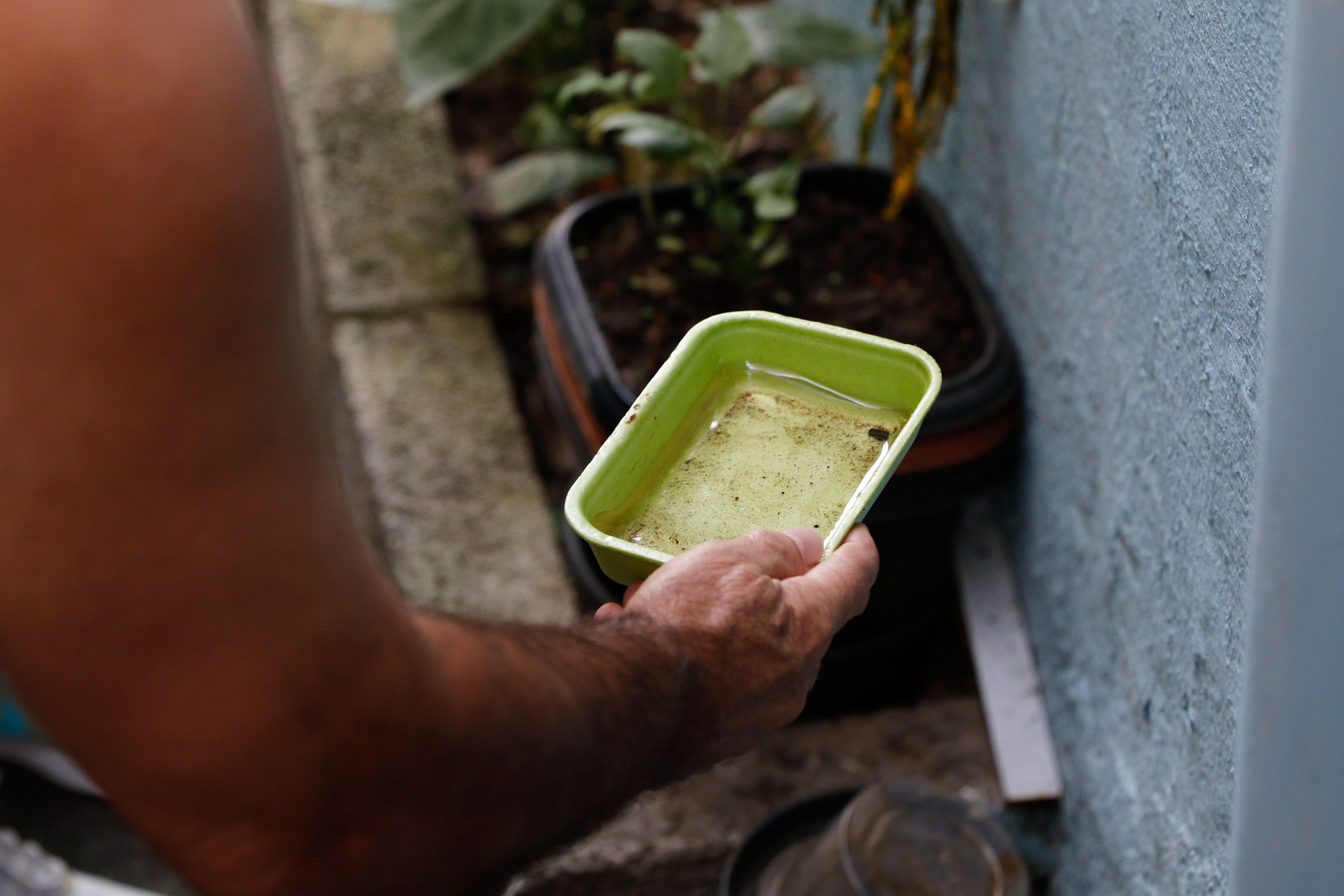 Água parada é ambiente propício para proliferação do mosquito Aedes aegypti, transmissor da dengue