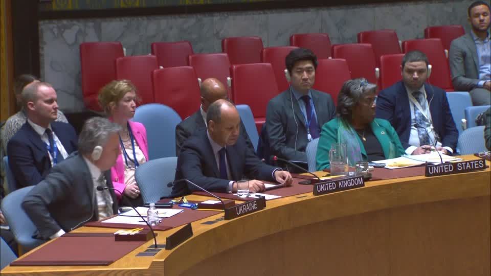 'These elections are a sham and a fraud' - UK, US UN envoys