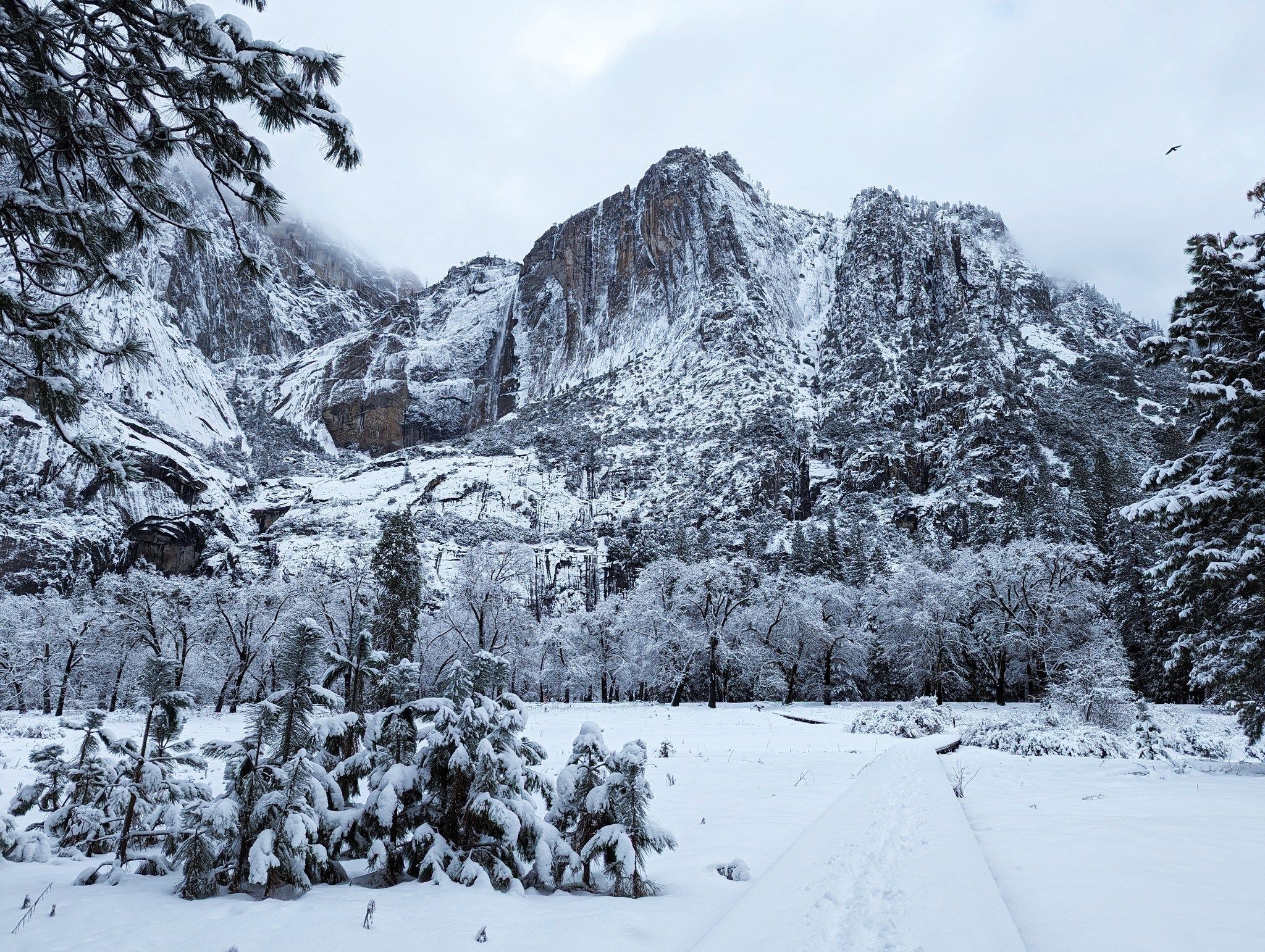 Parque Nacional de Yosemite, nos Estados Unidos, ficou coberto por neve / 03/03/2024 - Reprodução/Facebook/Yosemite National Park