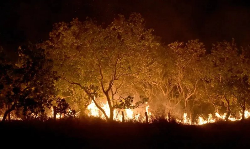 Roraima tem 45% do total de focos de queimadas do país em fevereiro / Jader Souza/AL Roraima