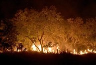 Roraima tem 45% do total de focos de queimadas do país em fevereiro, diz Inpe