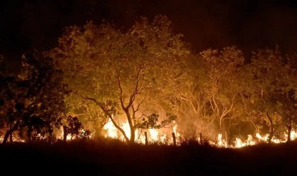 Quase mil hectares foram queimados em fevereiro em todo o Brasil, aponta Ipam