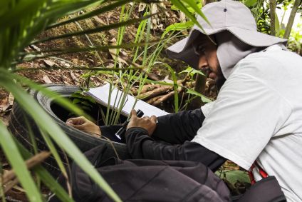 Agente de saúde atua no combate ao mosquito Aedes aegypti em Osasco, na Grande São Paulo