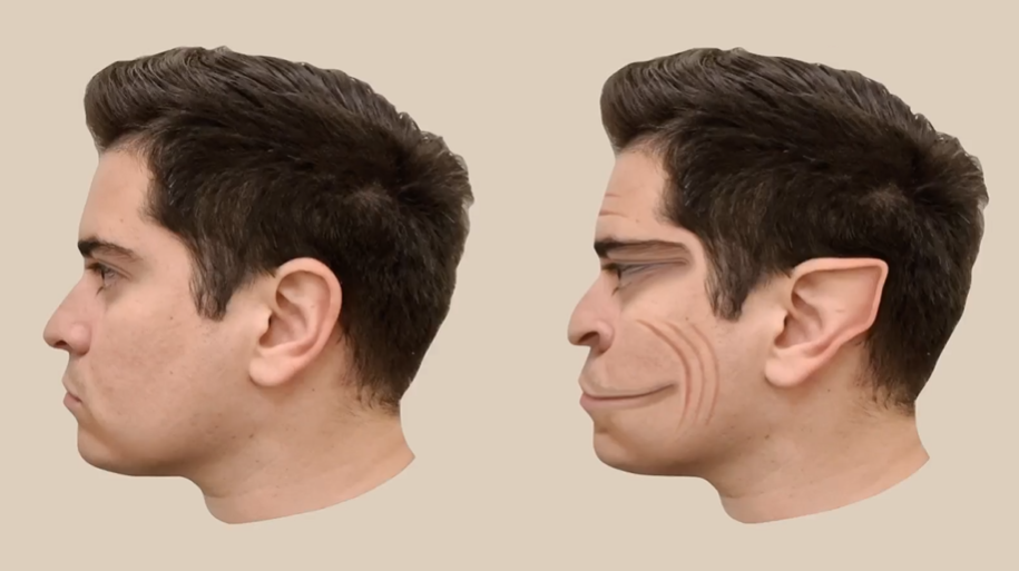 Representação artística de uma distorção facial / Antonio Mello