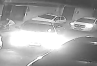 Vítima tenta retirar 9 gatos de carro, mas é esmagada por criminosos em fuga, no Rio