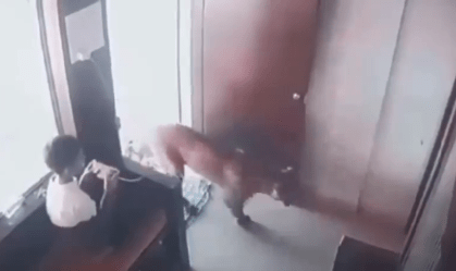 Garoto surpreendido por leopardo age rápido, prende o animal e consegue fugir; assista
