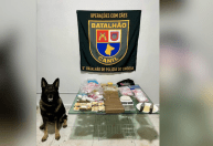 Polícia prende casal responsável por "casa bomba" na região central de SP