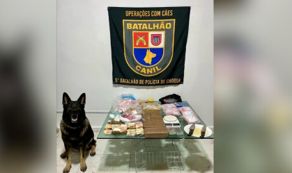 Casal é preso por manter estoque de drogas em SP
