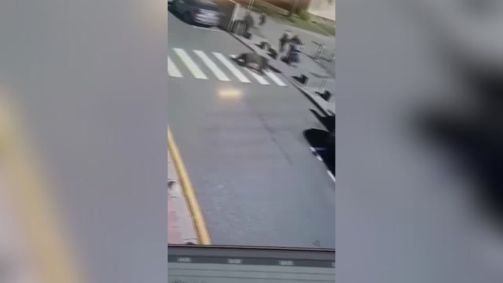 Urso fere cinco pessoas em cidade da Eslováquia