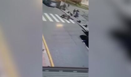 Urso fere cinco pessoas em cidade da Eslováquia