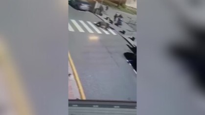 Urso fere cinco pessoas em cidade da Eslováquia