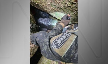 Cocaína apreendida