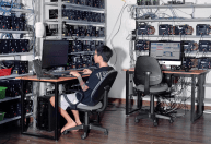 Fotógrafo registra raras imagens das sombrias 