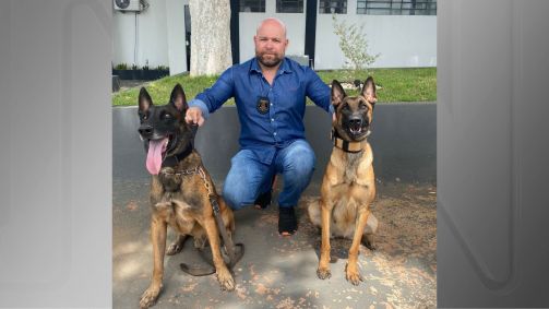 Cão Fúria em apreensão de drogas