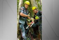 Bombeiros percorrem 42 km para resgatar cão em cânion de 20 metros de altura
