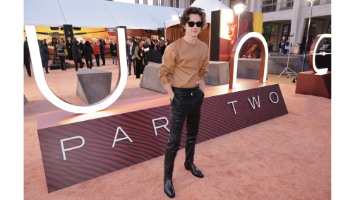 Timothée Chalamet na estreia de Nova York da Warner Bros. de Duna 2, no Josie Robertson Plaza, no Lincoln Center, em 25 de fevereiro de 2024