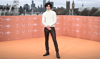 Timothée Chalamet conta que foi rejeitado em testes por seu corpo