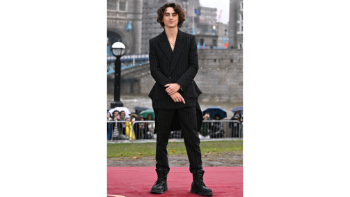 Timothée Chalamet o Photocall Wonka no Potter&#039;s Field Park, em Londres, Inglaterra, no dia 27 de novembro de 2023
