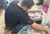 Gangue do Ozempic: polícia atua para combater roubo de medicamentos em SP
