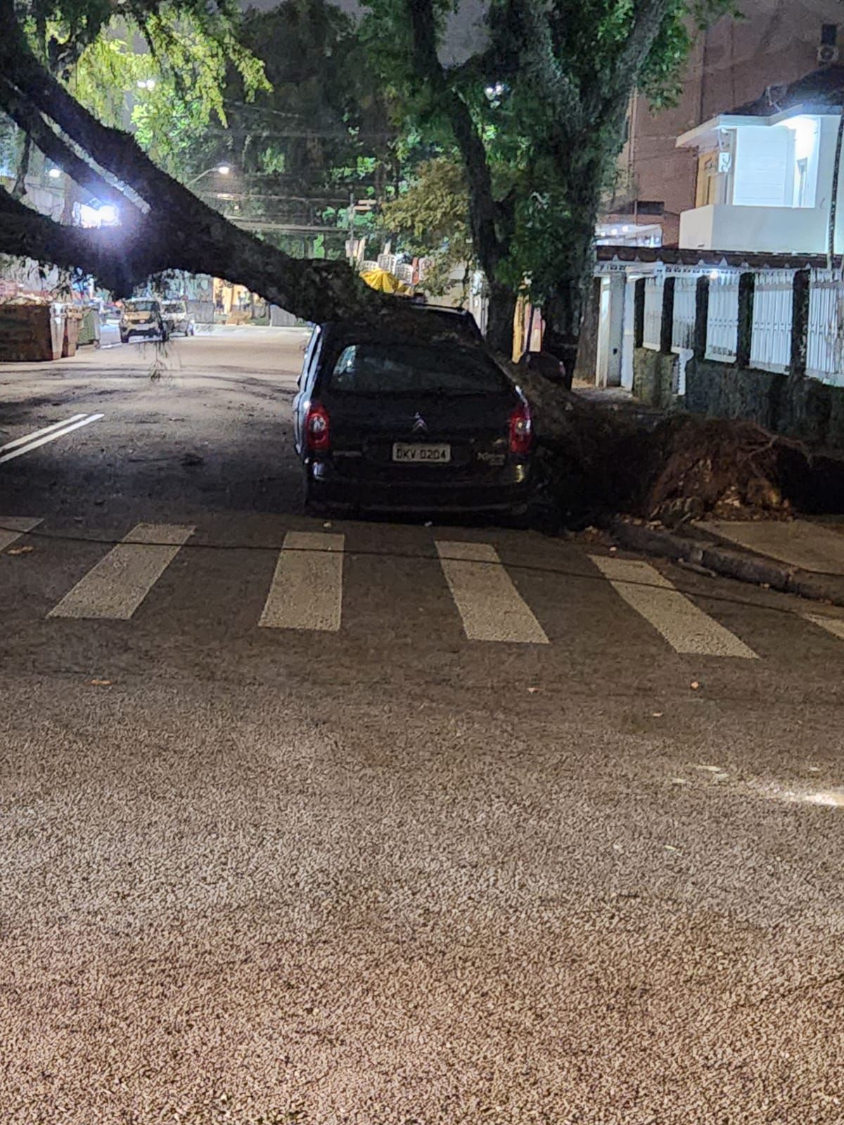 Árvore atingiu veículo que estava estacionado em Santos, durante temporal nesta quinta-feira (21) / Reprodução/ Defesa Civil