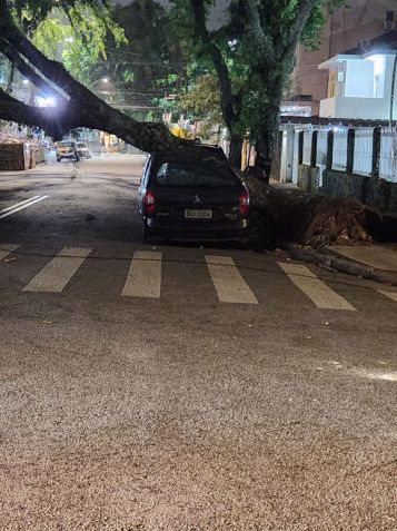 Árvore atingiu veículo que estava estacionado em Santos, durante temporal nesta quinta-feira (21) / Reprodução/ Defesa Civil