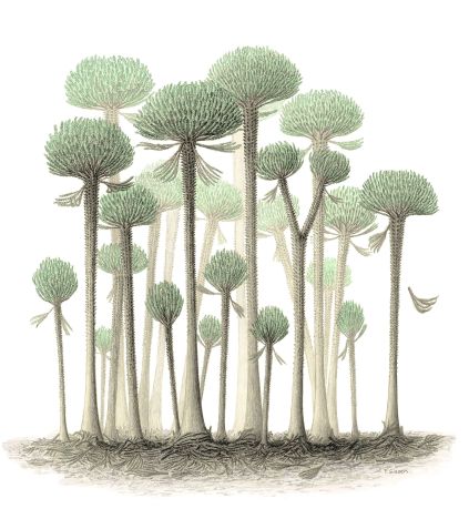 Ilustração mostra como a floresta pode ter sido / Peter Giesen/Chris Berry via CNN Newsource
