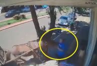 Burro morde homem que caminhava em calçada em cidade no Paraná; veja vídeo