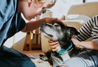 Brincar com cães ajuda a reduzir estresse? Novo estudo diz que sim