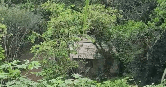 PM desativa casa na Baixada Santista