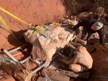 Fóssil de dinossauro de 70 mil anos descoberto na França