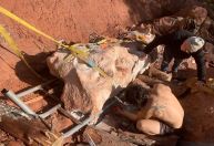 Esqueleto de dinossauro gigante de 70 milhões de anos é encontrado quase inteiro