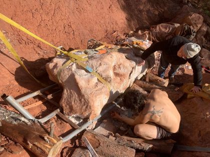 Fóssil de dinossauro de 70 mil anos descoberto na França