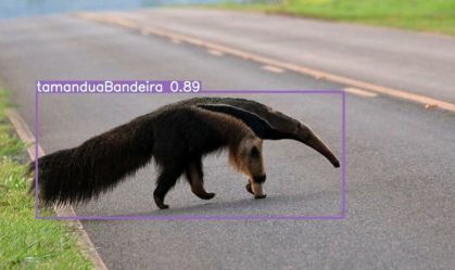 fapesp-animais-selvagens