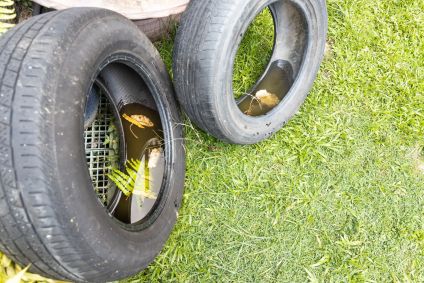 Pneu abandonado ao ar livre com água parada do local propício da chuva para a reprodução de mosquitos Aedes